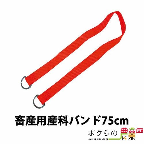 畜産用 産科バンド 短 75cm 23161 産科用具 畜産 酪農 牧畜 産業動物