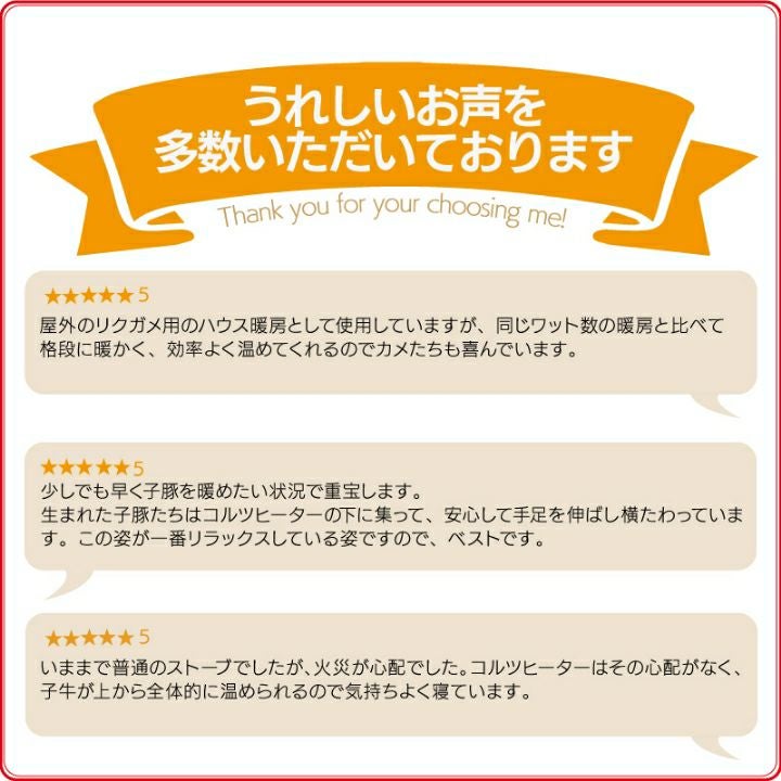 000000002891-02.jpg?size=l&w=