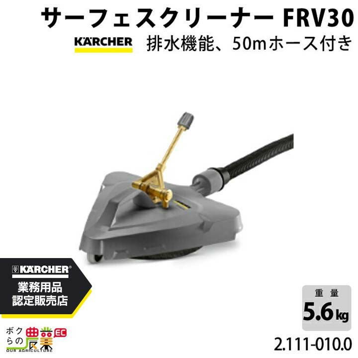ケルヒャー フォームランス ベーシック EASY!Lock22 4.112-054.0 高圧