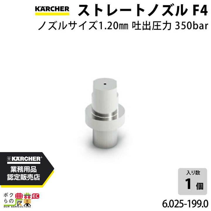 ケルヒャー ストレートノズル 6.025-199.0 超高圧洗浄機用 ノズル