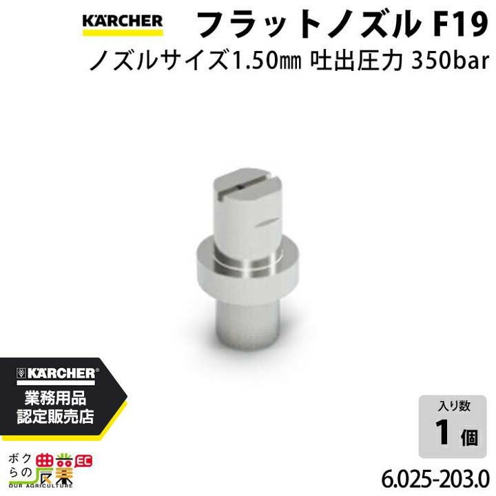 ケルヒャー ストレートノズル 6.025-199.0 超高圧洗浄機用 ノズル