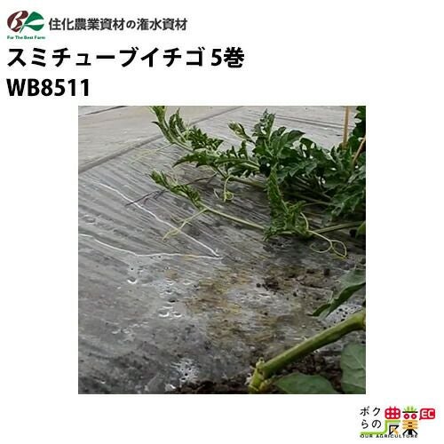 000000009348-01.jpg?size=org&t