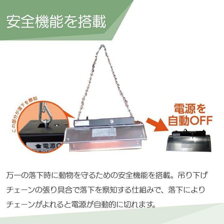 000000009490-06.jpg?size=l&w=