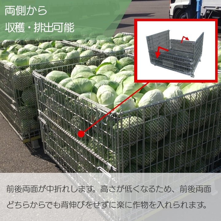 メッシュパレット メッシュボックスパレット セイカン 鉄コンテナ 農産