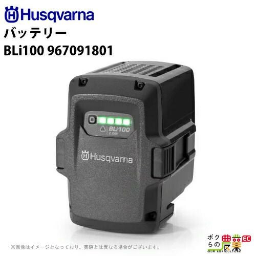 エコー バッテリー LBP-50-250G 50V バッテリー リチウムイオン ECHO