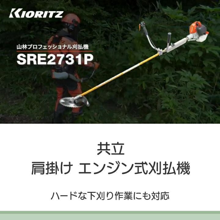 000000012481-02.jpg?size=l&w=