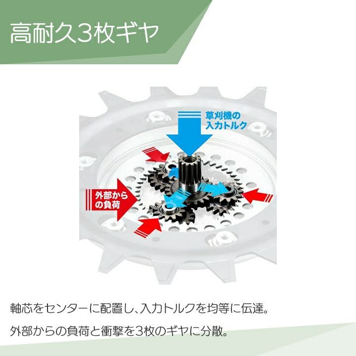 000000014653-03.jpg?size=l&w=