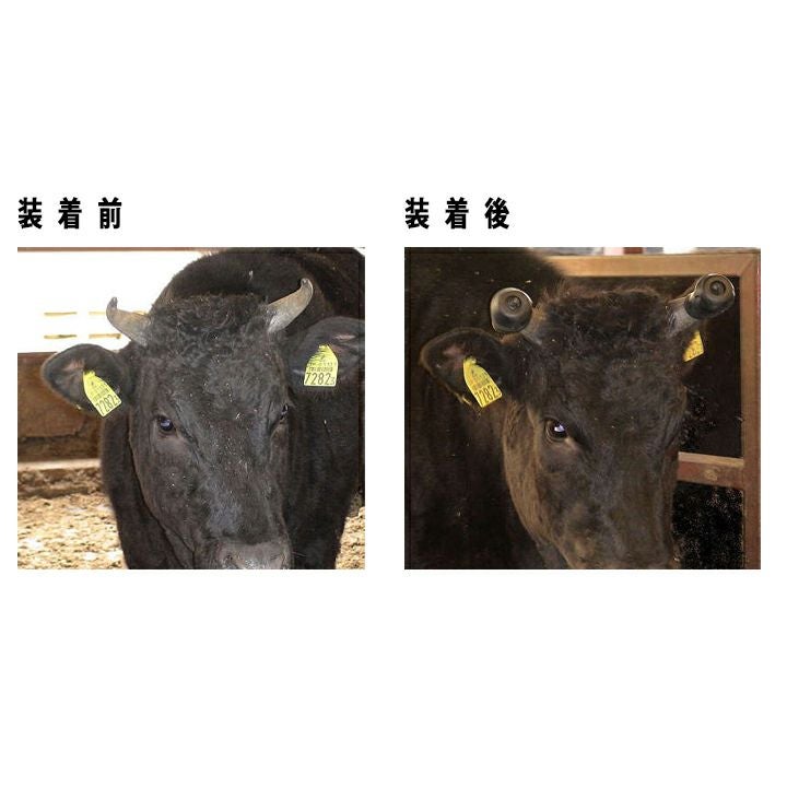和牛用 角突防止具 牛の角カバー 大 左右2個セット 小58718 中58719 大