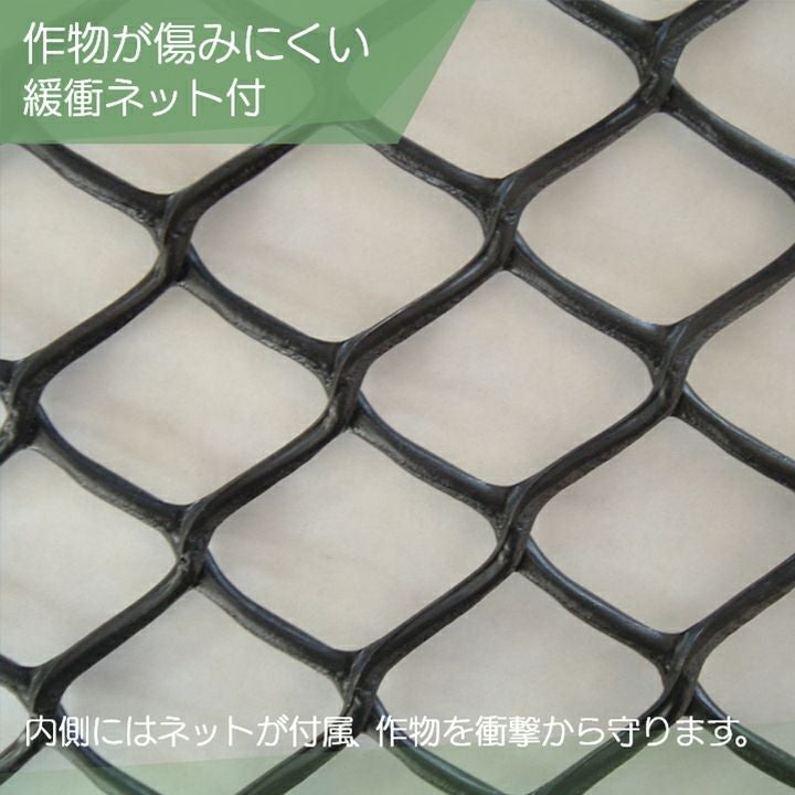 000000014901-06.jpg?size=l&w=