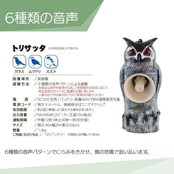 000000015138-03.jpg?size=l&w=
