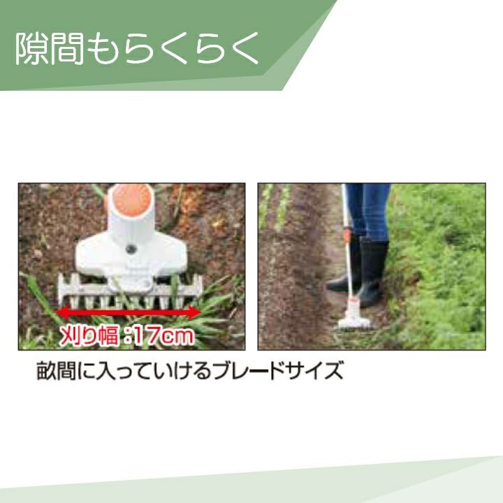 000000015435-02.jpg?size=l&w=