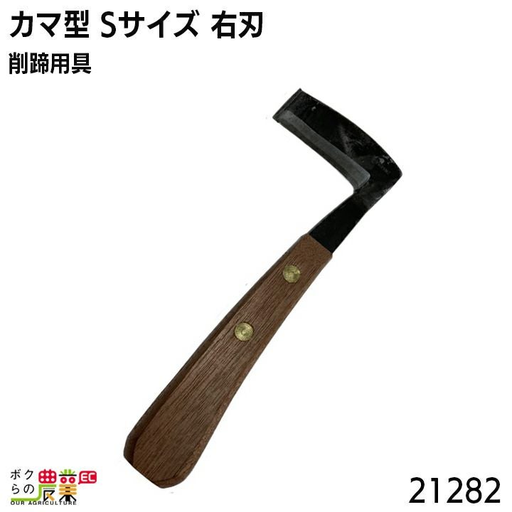 000000015555-01.jpg?size=org&t 