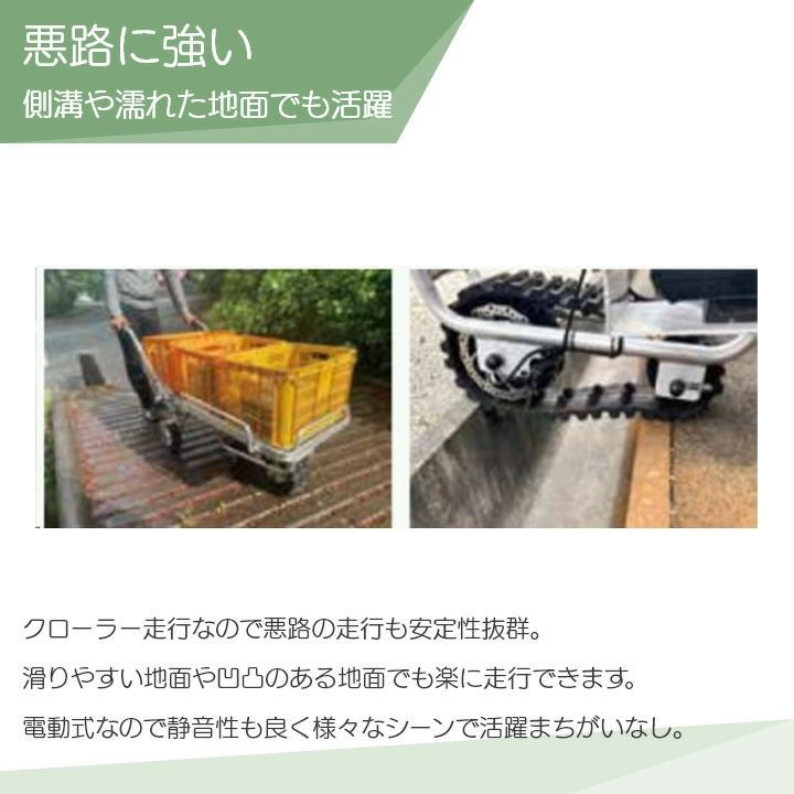 000000015733-02.jpg?size=l&w=