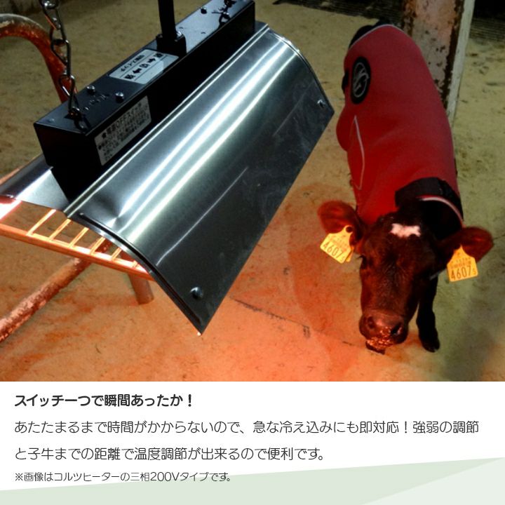 000000015777-03.jpg?size=l&w=