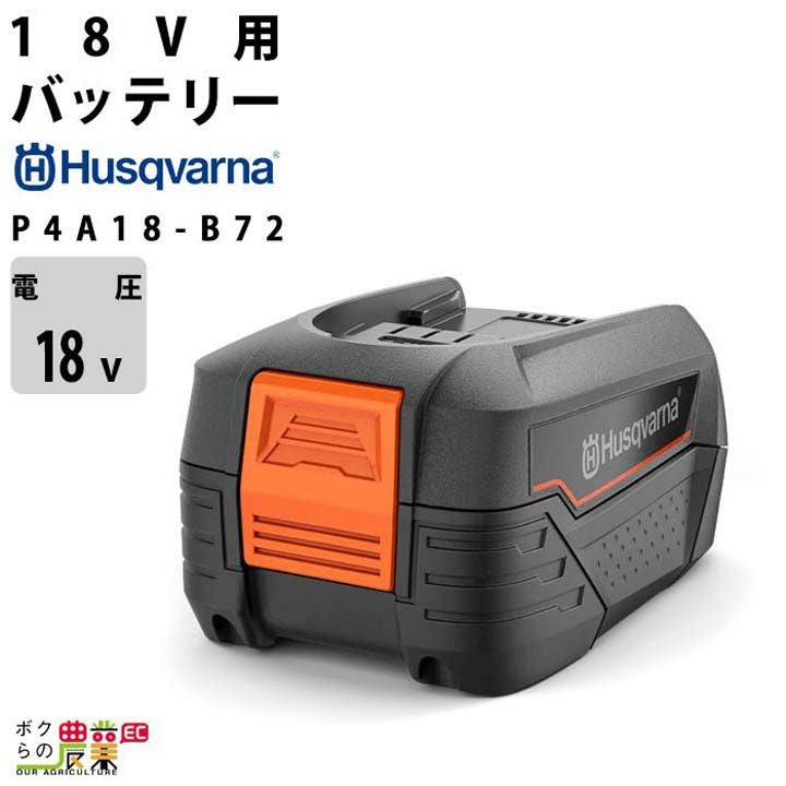 ECHO 50V リチウムイオンバッテリー LBP-50-250G エコー ヤマビコ エコー 50Vリチウムイオン2Pバッテリー LBP-50-250G