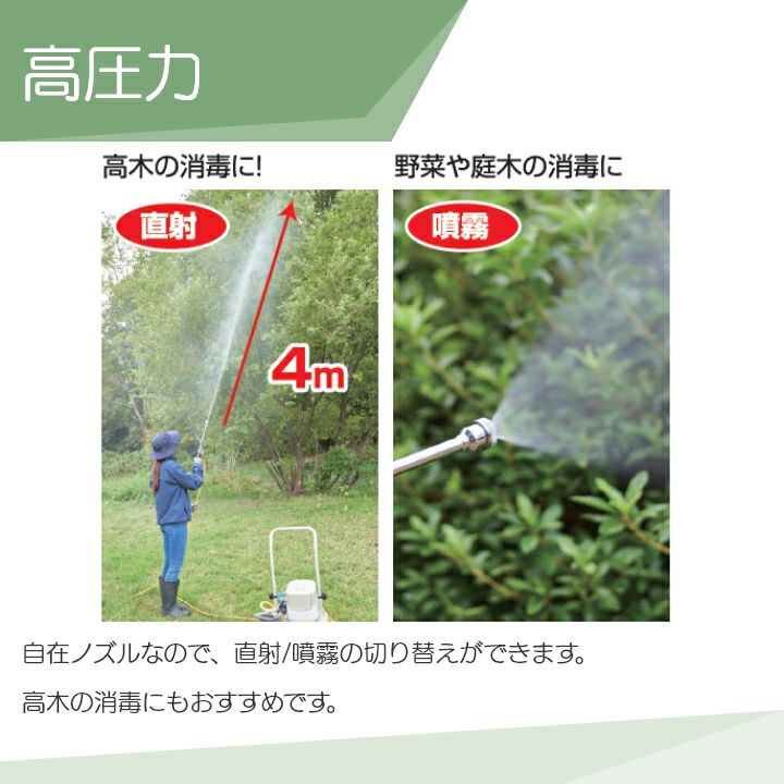 000000016111-03.jpg?size=l&w=